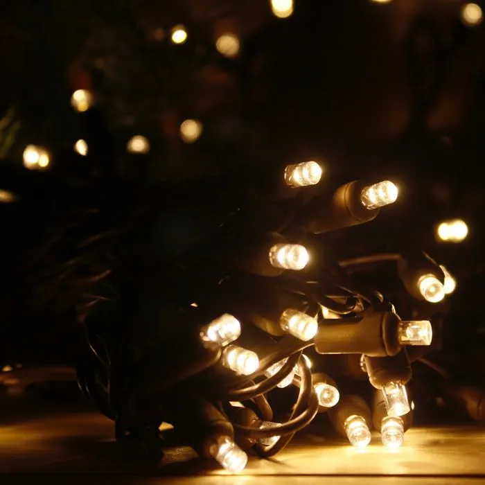 50-light  5mm Warm White LED Christmas Lights, 4" Spacing Brown Wire